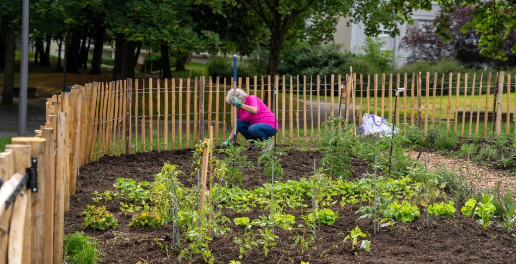 Jardins partagés Le Parisis
