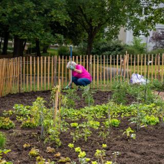Jardins partagés Le Parisis