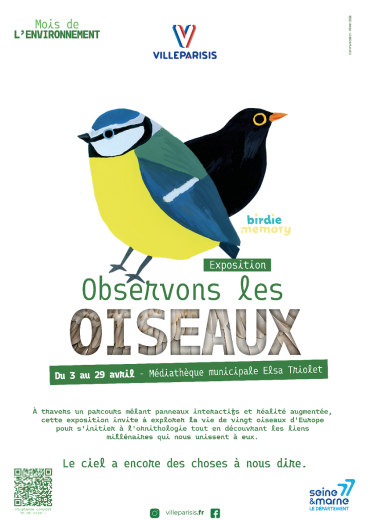 Observons les oiseaux 