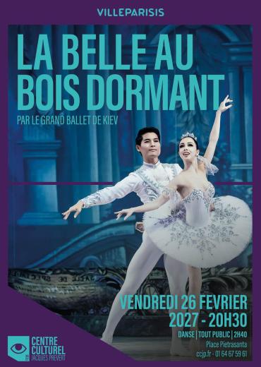 LA BELLE AU BOIS DORMANT