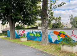 Œuvre street art - nature parc Balzac