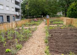 Jardins partagés Le Parisis