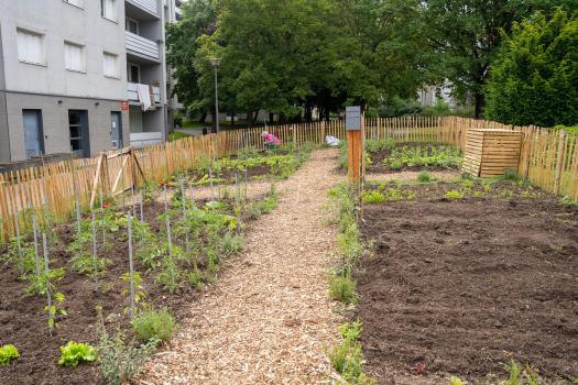 Jardins partagés Le Parisis