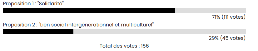 Résultats de votes fresque maison des droits
