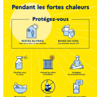 Les bons réflexes pendant ls fortes chaleurs