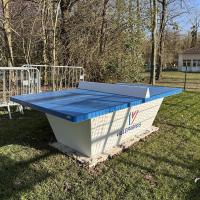 Table de ping-pong