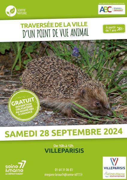 Sortie nature 