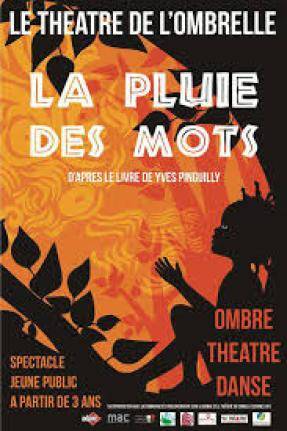 LA PLUIE DES MOTS