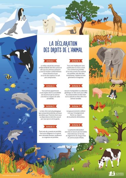 LFDA-declaration-des-droits-de-lanimal-2018-poster