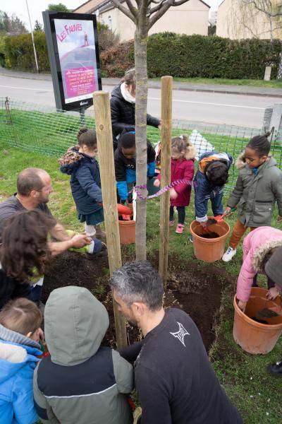 Plantation des arbres du vergers 