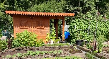 Jardins familiaux