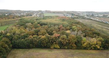 Forêt de Morfondé