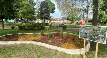 Jardin sans eau ou presque