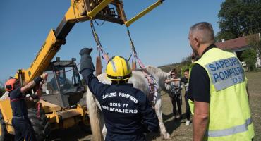 Sapeurs pompiers 7