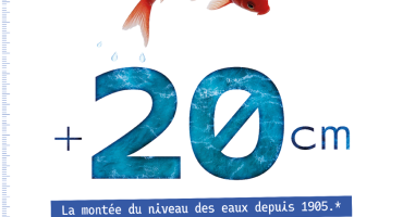 Mois de l'environnement 2026