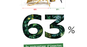Mois de l'environnement