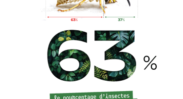 Mois de l'environnement