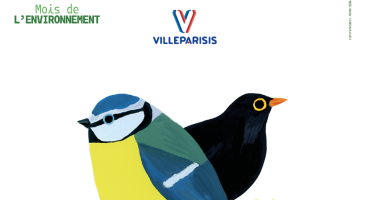 Observons les oiseaux 