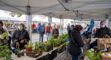 Les Citadines - Troc aux plantes, fête du printemps 2022