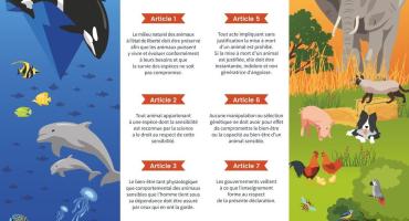 LFDA-declaration-des-droits-de-lanimal-2018-poster