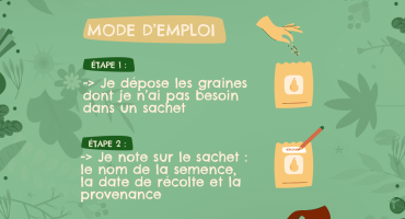 Grainothèque
