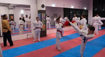 usmv taekwendo