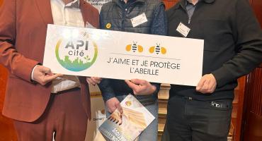 1 abeille ApiCité