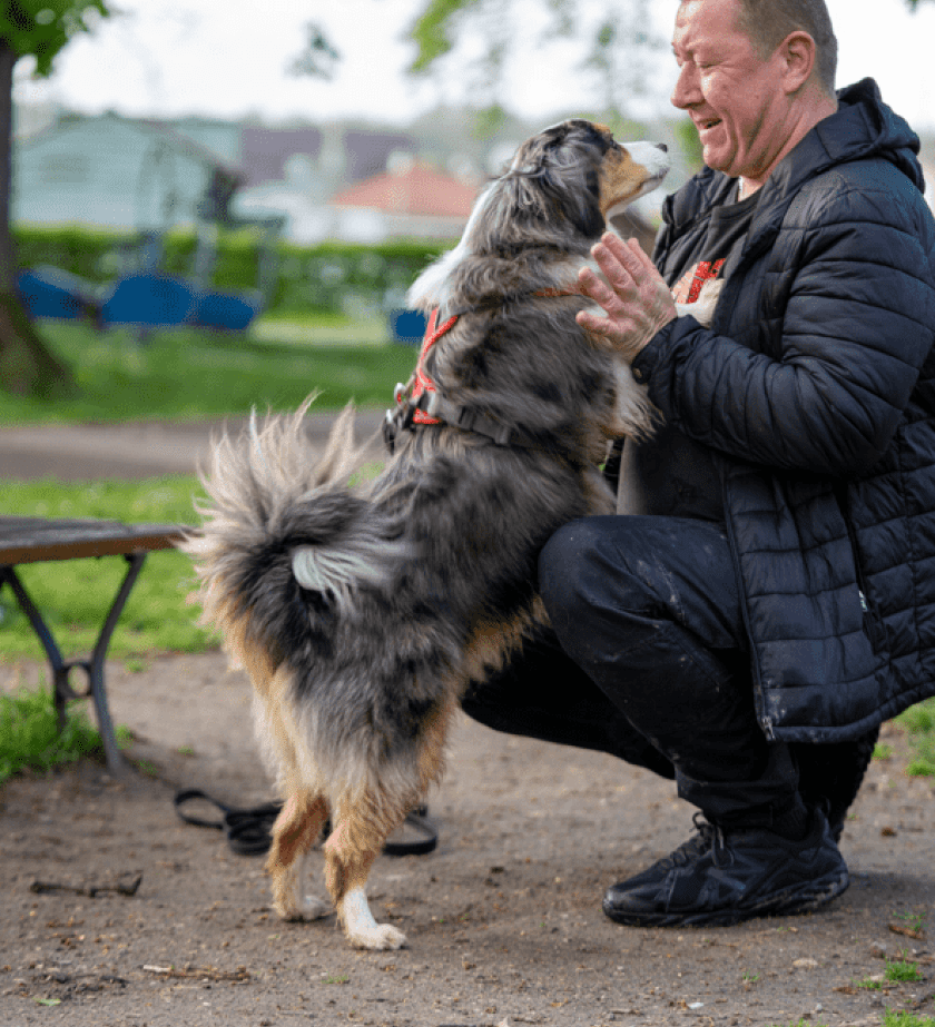 Chien et son maître