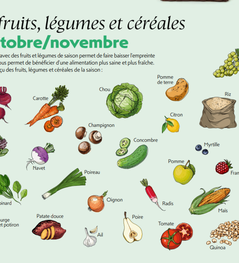 Fruits et légumes 