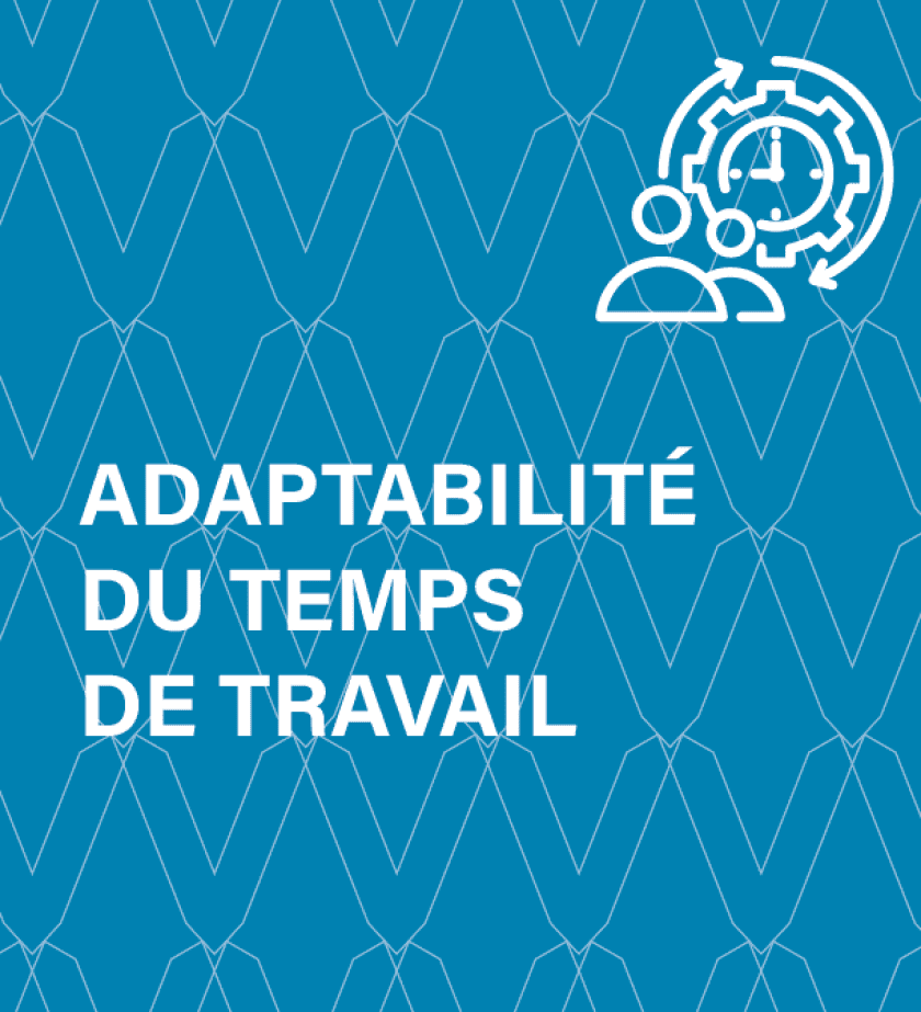 Picto adaptabilité interne
