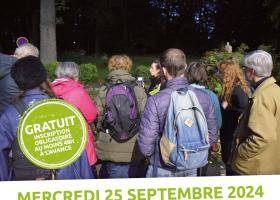 Sortie nature Chauve souris