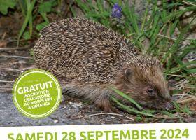 Sortie nature 