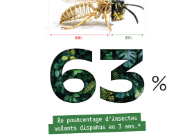 Mois de l'environnement