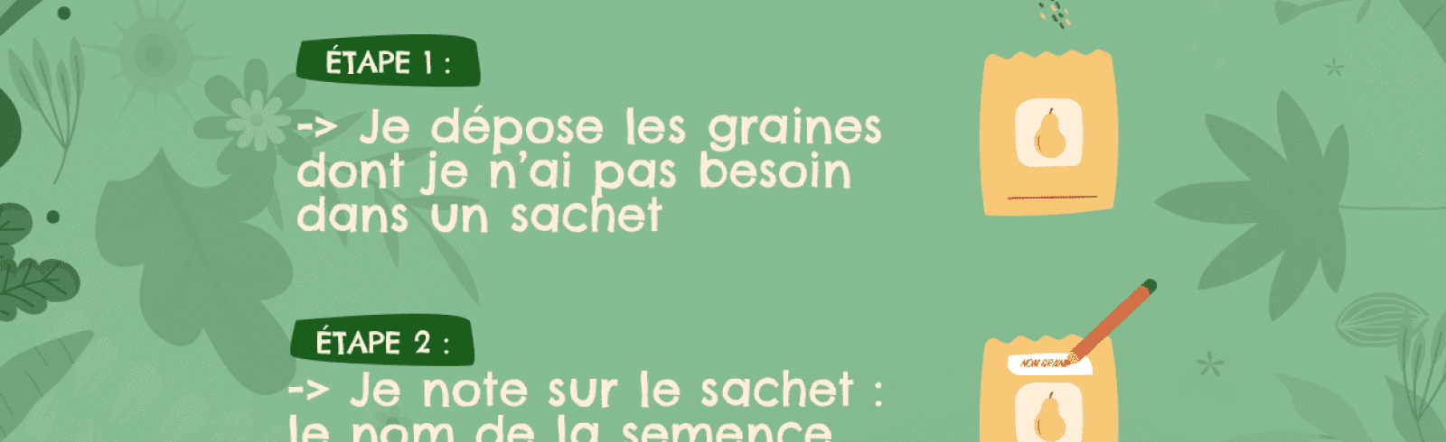 Grainothèque
